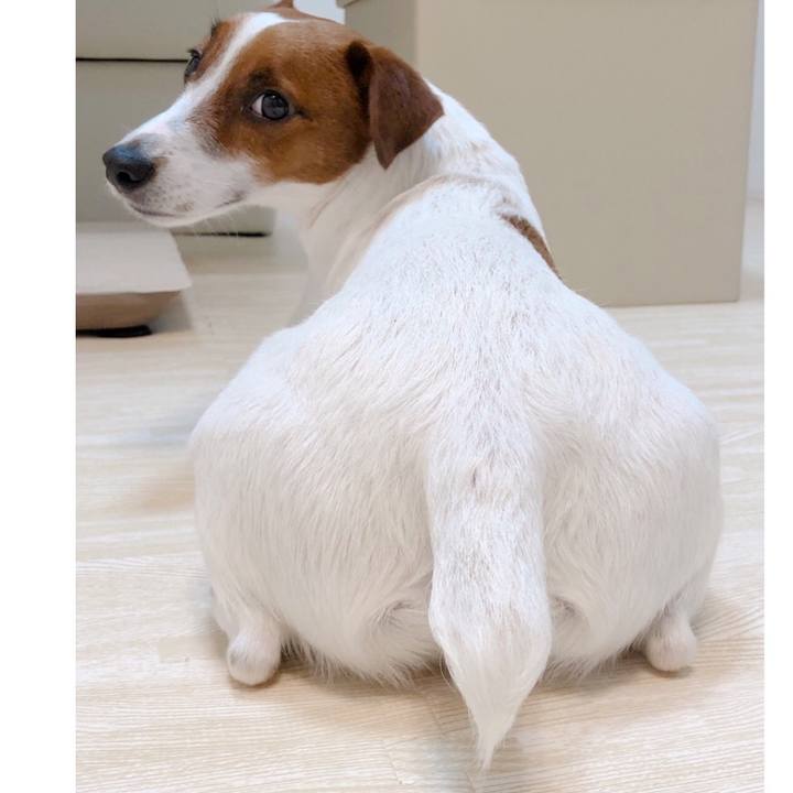 16708f1b 7848 4323 aa6a e4b48e6cb02c 1589347920334