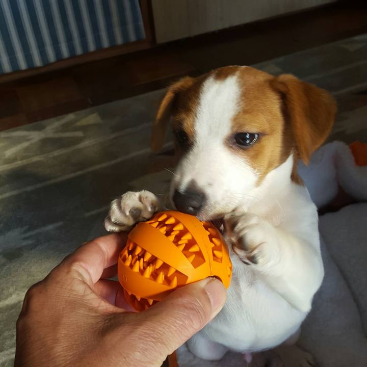 1670a3b1 edf8 4549 924a 860000c8d9dd 1550450071179