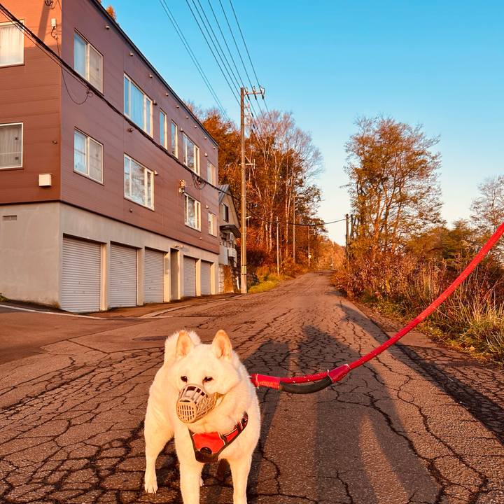 1670ad6e 698b 4895 b125 55035dd7f518 1762386973908