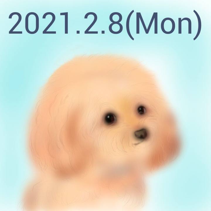1670c797 fe3e 4ce5 9a8e d902059b1502 1612789377589