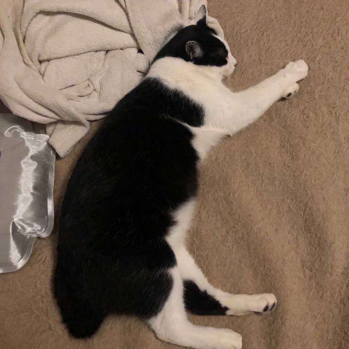 1670e568 1b2e 400a 931b daf28e29eae2 1549390013688