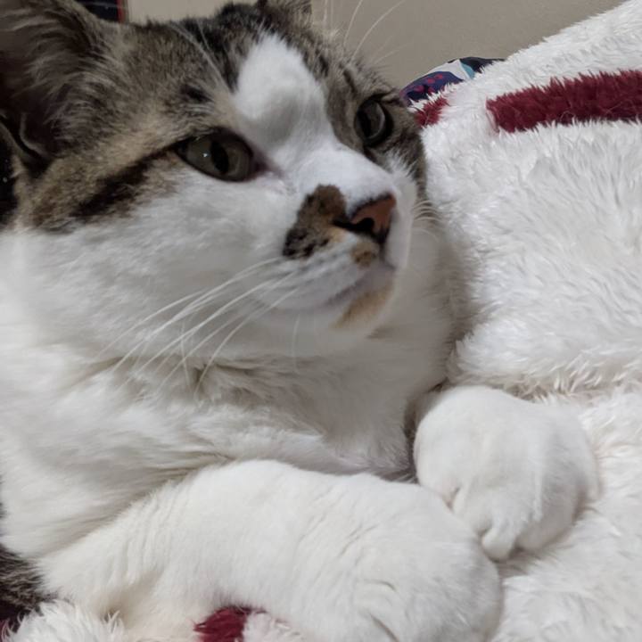 1670eabc 9014 4fd3 af01 c700a0b7ad85 1737949052789