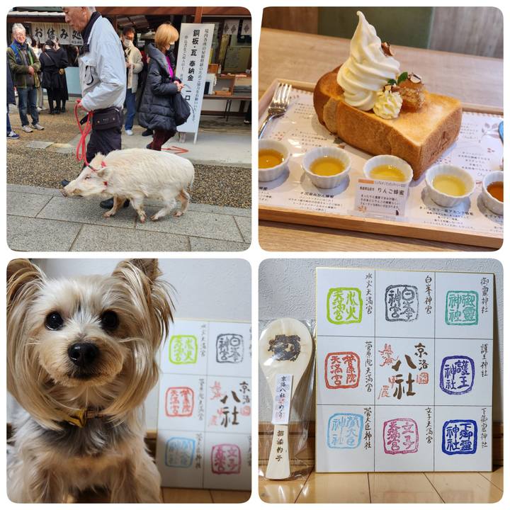 1670f7b8 7025 4835 a2e7 32f4dd77af7b 1704528945497