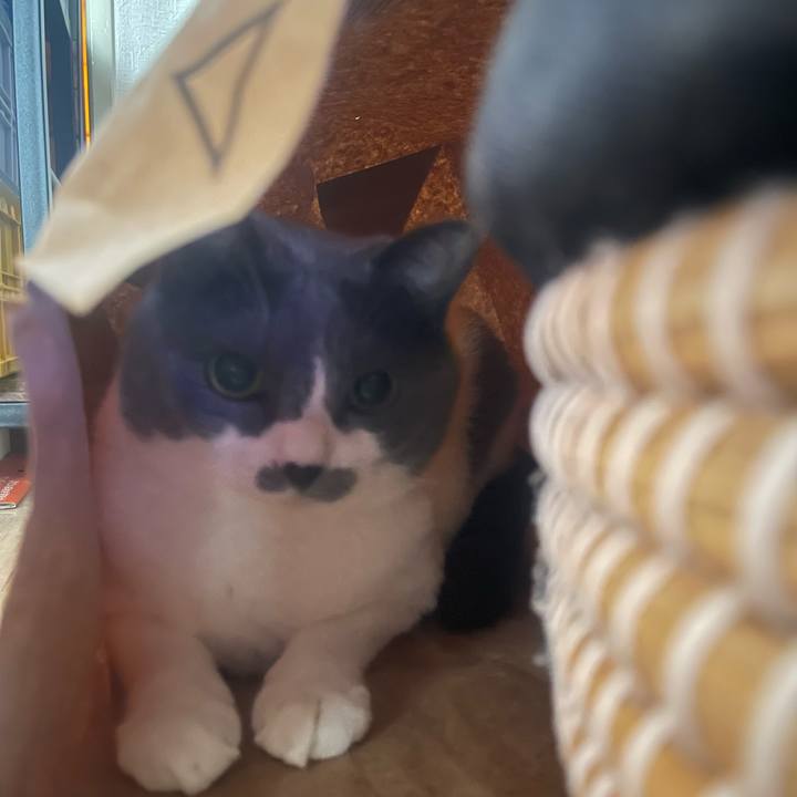 167105bb 46c4 48a8 b8cd 380e9e530989 1718927846988