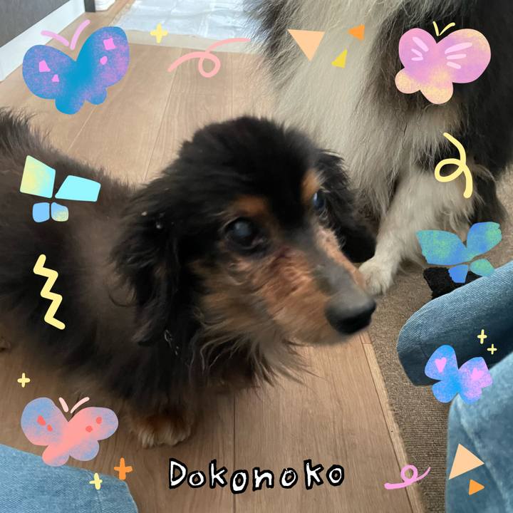 167164f3 e700 42b8 a8b4 54af736f8a43 1711145926136