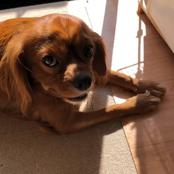 167169ce 7d8f 4aeb 8fa1 3a102aa6e79c 1559560119310