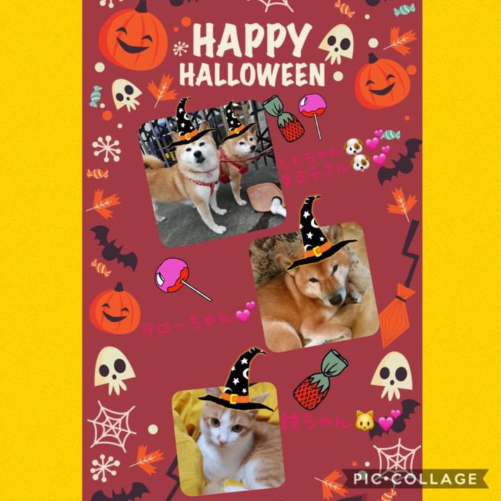 16719aa1 d446 4de5 ab3b d498a47244ba 1571925105231