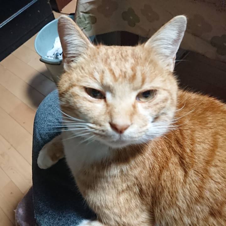 1671aad7 fce3 441b 9aee a089447bf30b 1607630084697