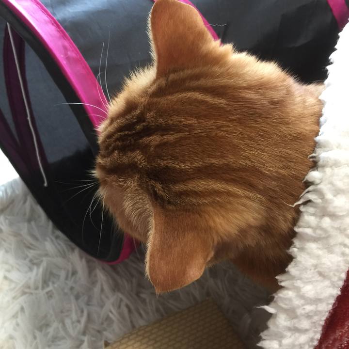 1671cf54 36bf 47d3 8aa2 a08035531096 1584162965814