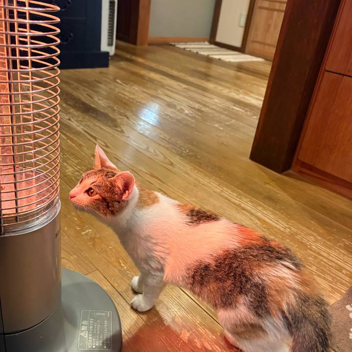 1671d468 12c4 497d bb9b 8c46ba549cea 1766447245752