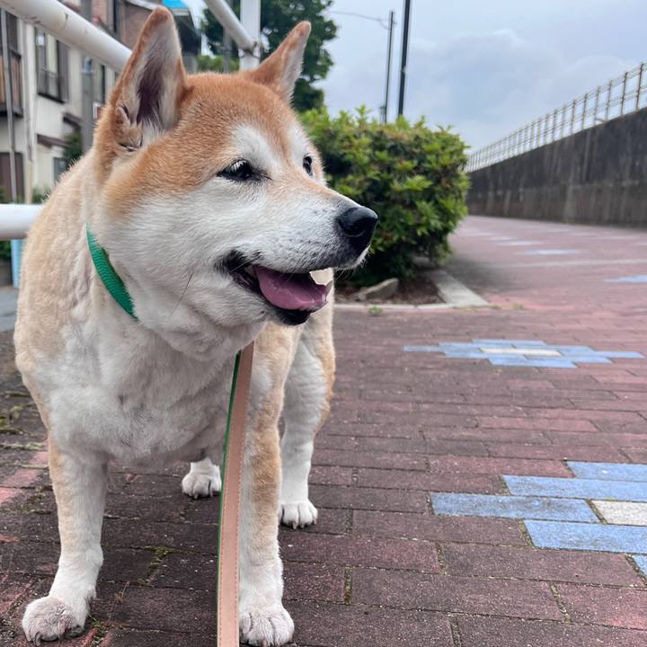 1671df60 ef29 47f9 ae89 19a1de555ad8 1716427675932