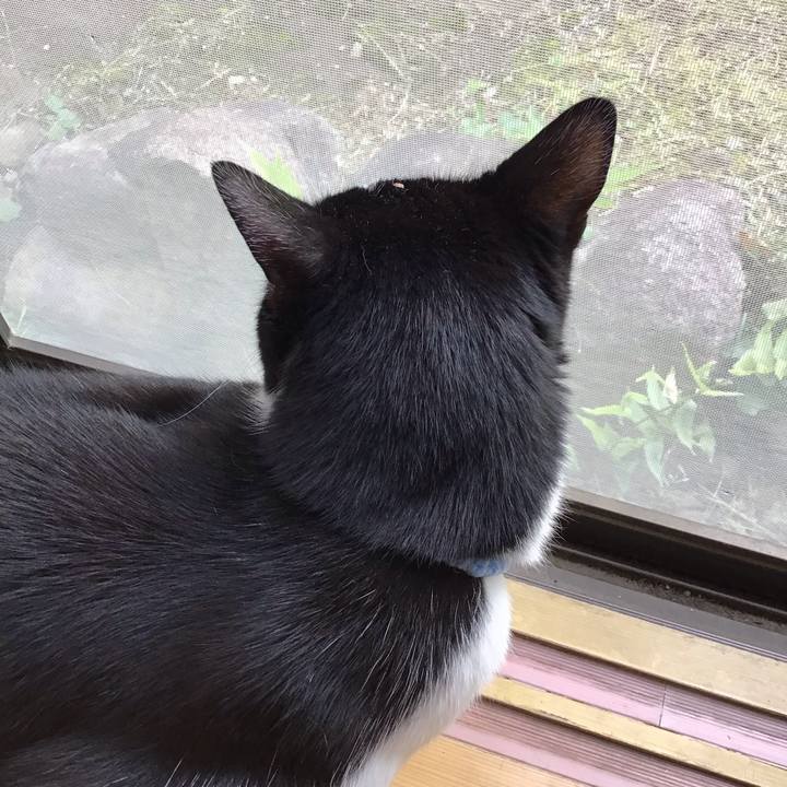 16721b47 e695 4a22 b7ba 55ba1af01252 1715763743076