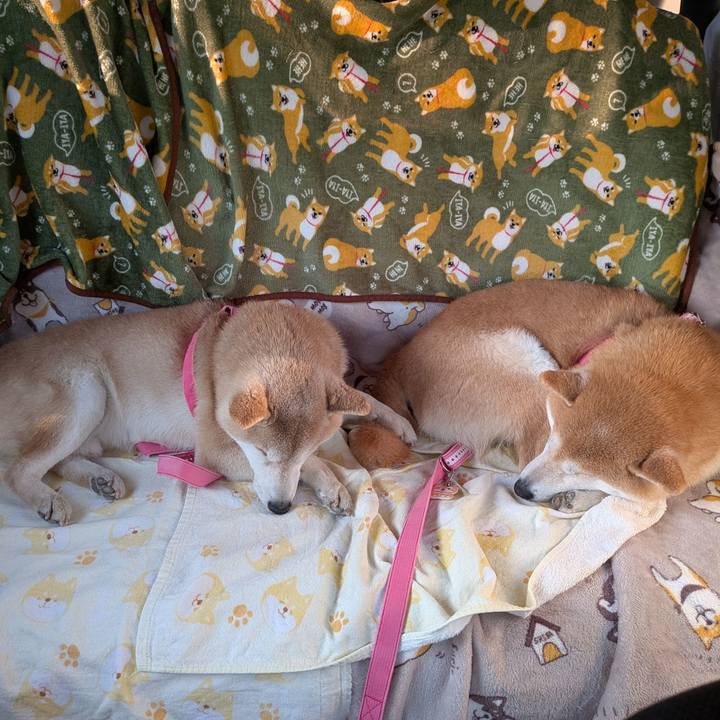 16721bbb 225c 4e13 ade5 1c4fb53a8a38 1768737106431