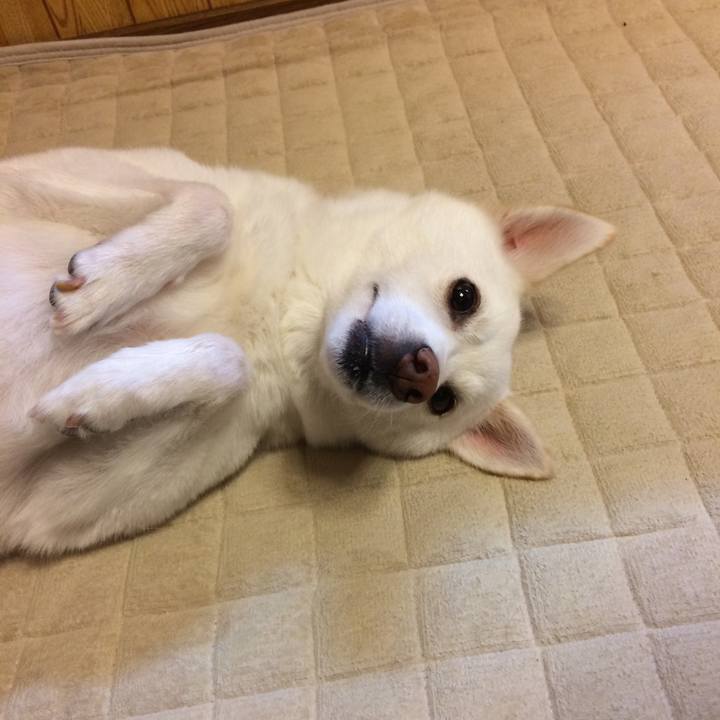 167230a7 d88b 4cef a4dc 4d310c617eb7 1535710829741