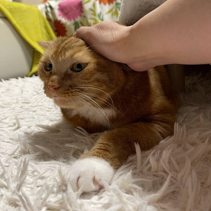 16723ad9 170e 421e 8cc2 b4159b75075e 1666789001860