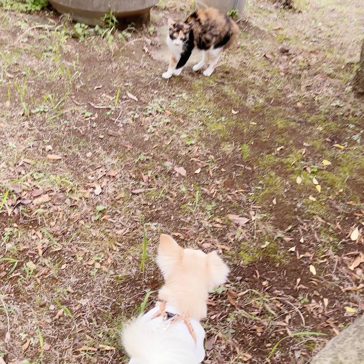 16723d07 9cbf 4fdd 8abd a41e3b2ee9d0 1696418898170