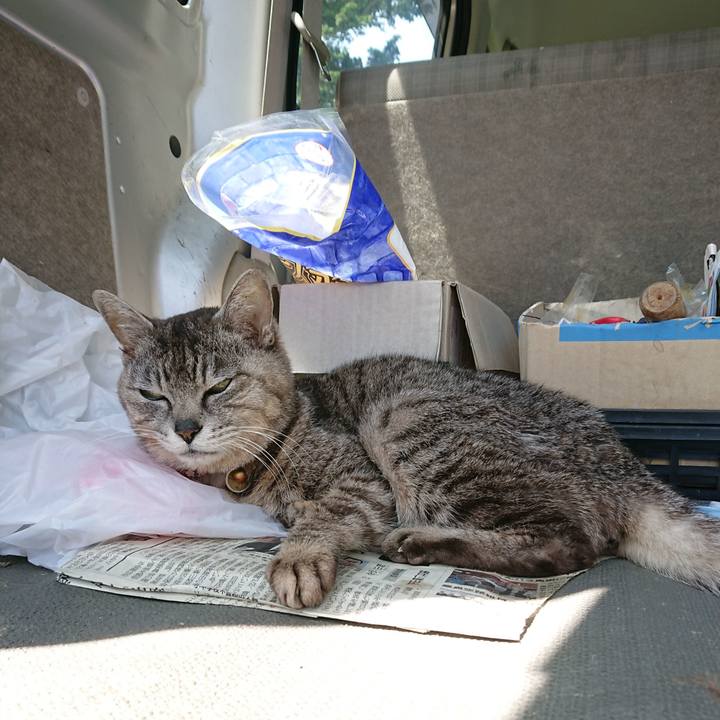 16727e87 fa4e 48d7 bd84 1997767bfaf3 1590892204013