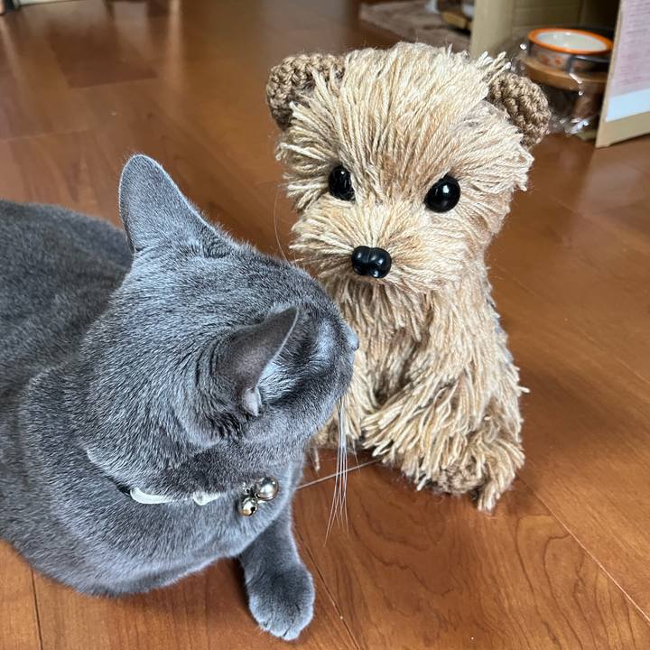 1672ef6c d006 4496 ab70 643627505204 1719293588972