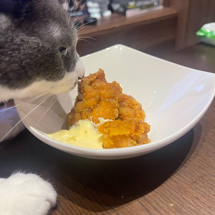 16730962 836f 4726 a09c 58fd8dd470e7 1692095095110