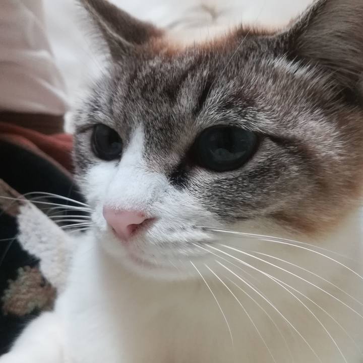 16730d58 acb3 4d67 b07c c7f6d735e7d4 1524135487252