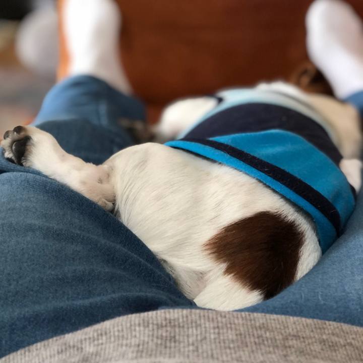 167320c7 ff2f 4ff1 b0bd ba6519bb0ab3 1652179860761