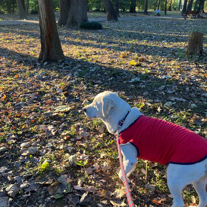 16733d01 546a 4f7d b3dc e8316526e16c 1668124635540