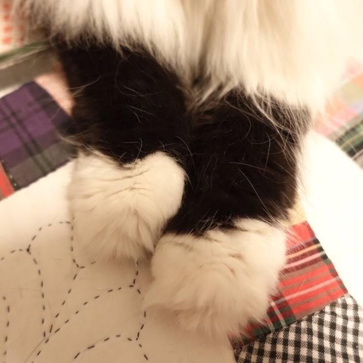 16739739 f1ca 4c12 b614 c54380594140 1537275001914