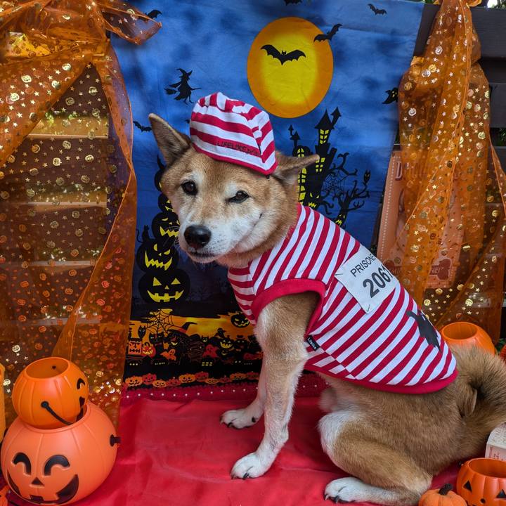 1673d9b5 e166 4b1c 9dbd acee70edff7c 1730461634598