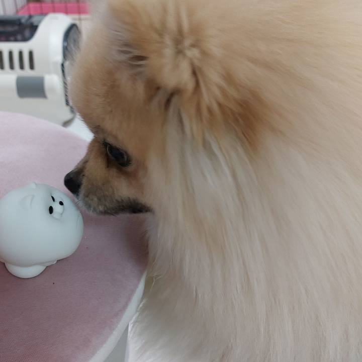 1673eb6b 734a 4031 8db0 34eda7487167 1711198548074