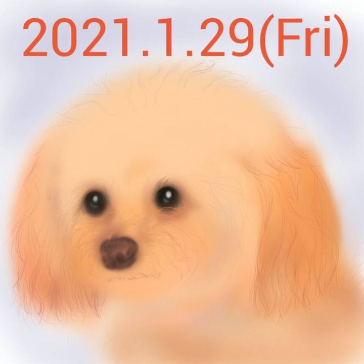 16740b1b f71f 42ab 9f6e 6db2d5949d51 1611926057200