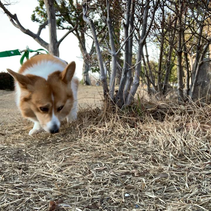 16741009 06d4 4895 8be4 5ca7686ed114 1578990193477