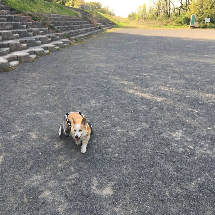 167426cc bdb9 4db5 9711 b1aaca271b64 1525058787180