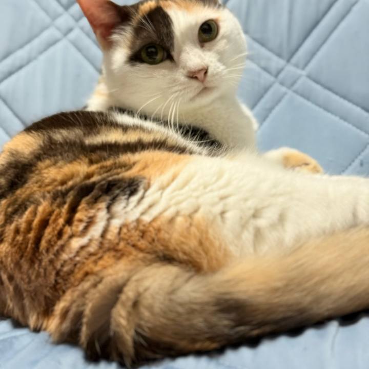 167428eb 0fab 4de0 bcb2 897b289ab390 1751853142271