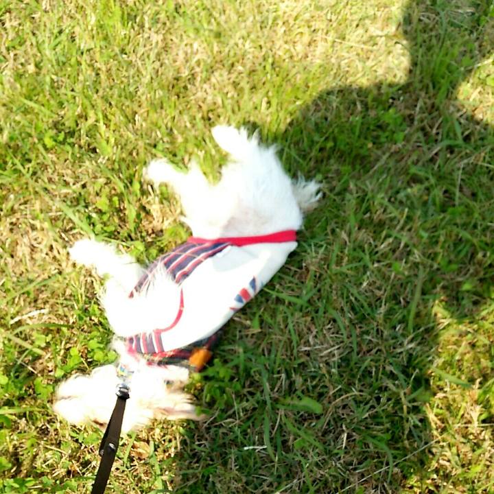 167447ed d67e 4b21 b980 9dc907180137 1509879486081