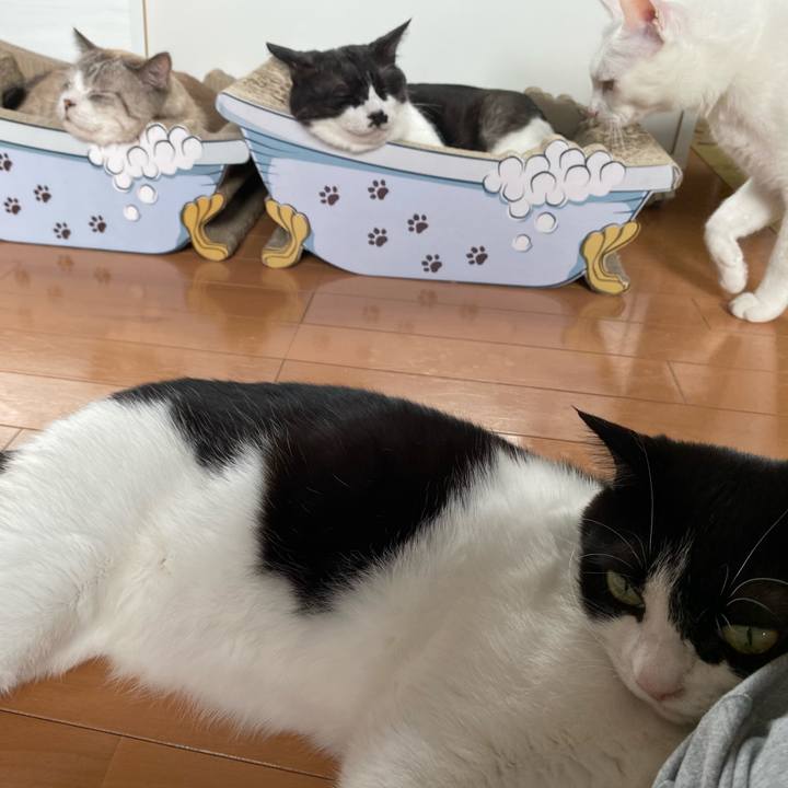 167447ff 4df0 4e4f 8319 fa3a872641a1 1606782656293