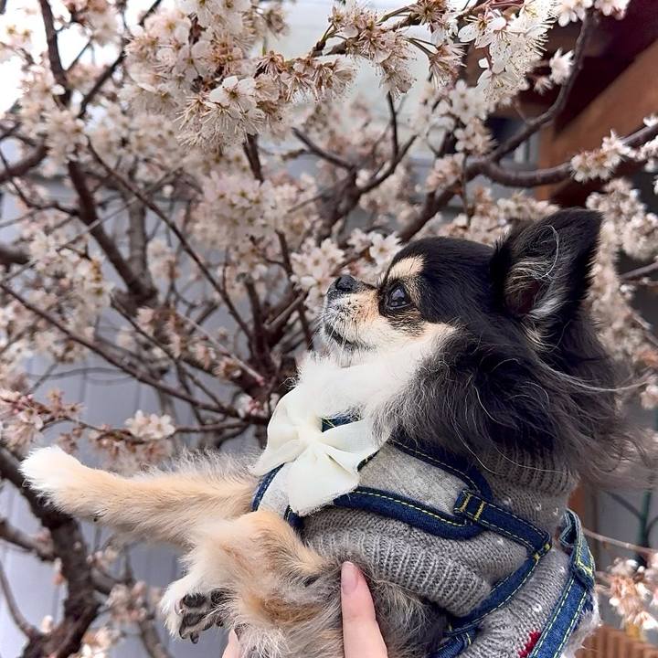 1674afb4 021d 430d b080 2af3877628a9 1742098450505