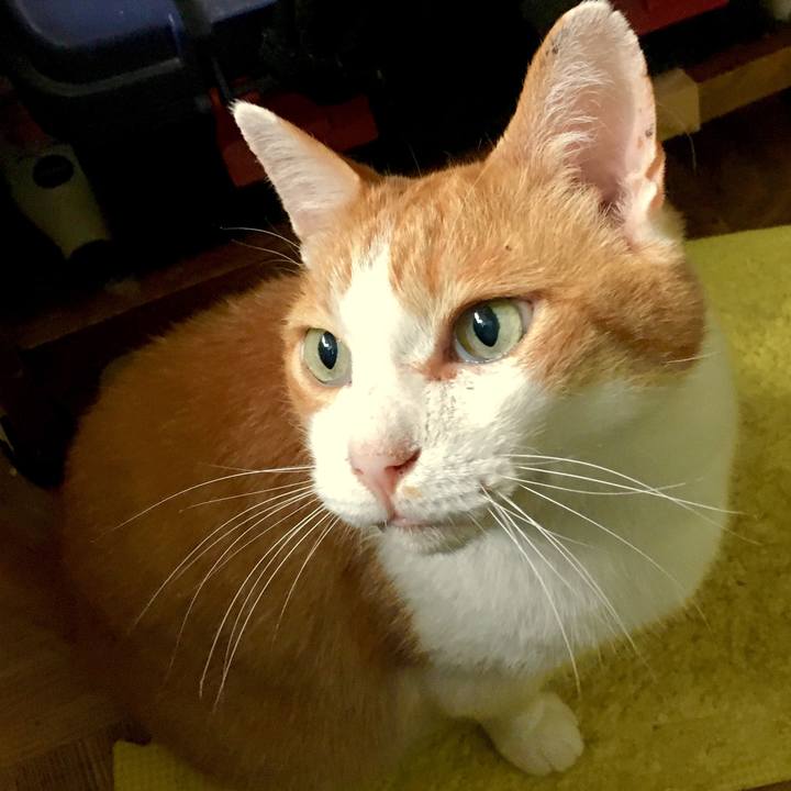 1674dd86 0d2c 4b89 b30b 3a6c50c0cc40 1566457085861