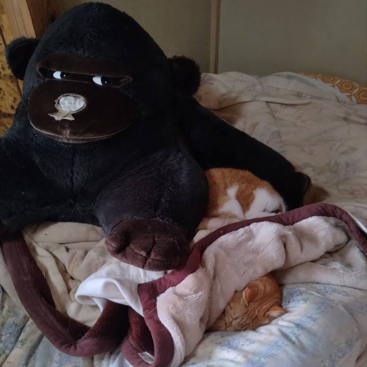 1674f1be 032d 466e 9a45 758b49d9e73b 1768865202301