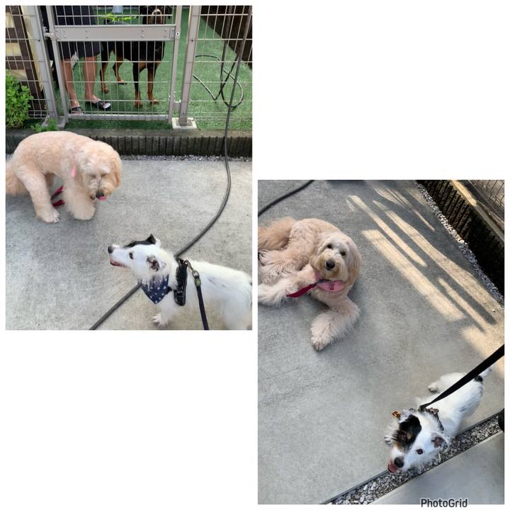 1674f367 b418 470a 86bc c2f31ee42a9c 1722466544983