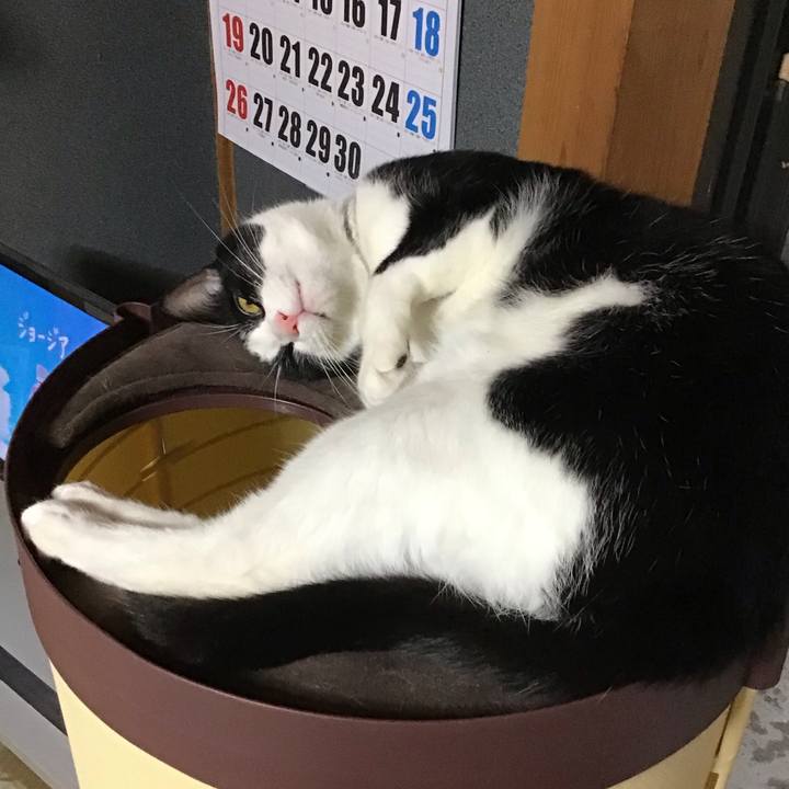 16750665 1ee2 403a bca3 2756c5e1d3fe 1655598591615