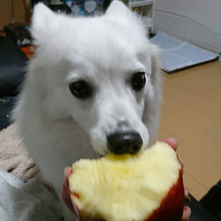 16751948 3ae1 4017 a4a3 bcb1d9de6da8 1513693737070