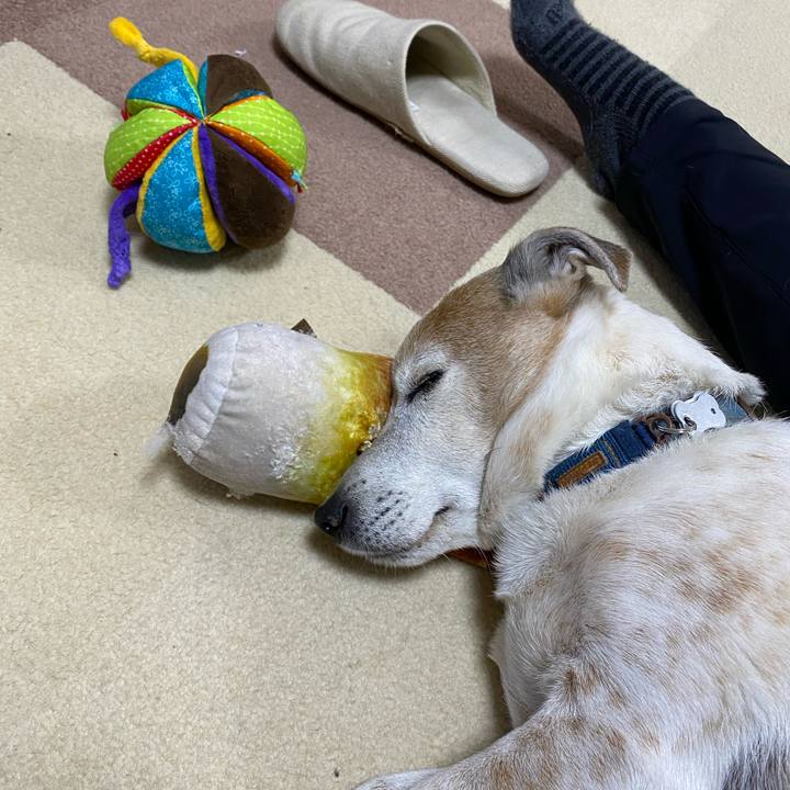 16752235 36ad 4056 b150 7ff9a1f5a9bd 1642234734104