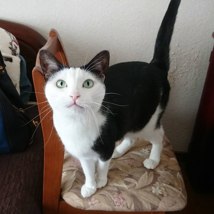 16754a73 be24 4094 95ad cf7a5cbe09f0 1534730798985