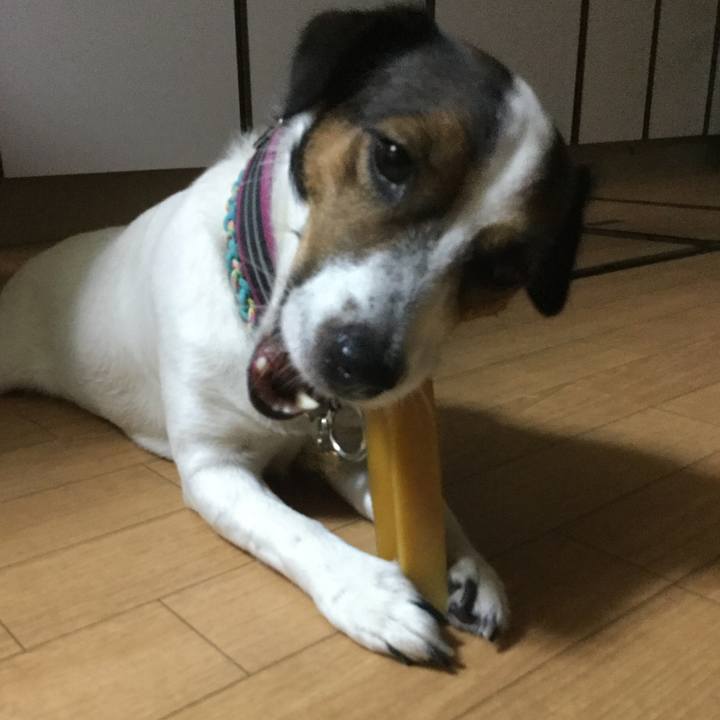 1675bcfe 9023 4557 9ee7 31a53046eaca 1508146725659