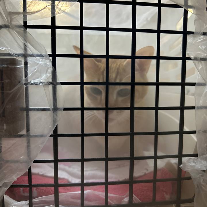 1675ea88 107d 4149 816f b34e5a7e1978 1682516140774