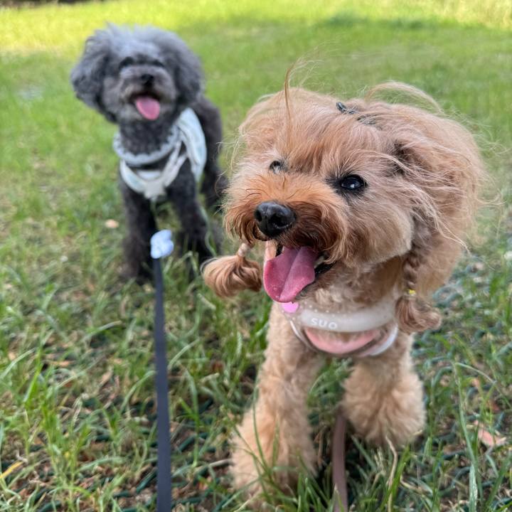 1675eb50 b721 4437 a4eb cfdbcdd51303 1755817438396