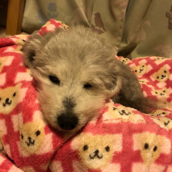 1675fa8f b1fb 4517 8137 08c29da0fdaa 1618532441657