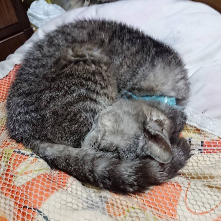 1676058a 19a3 49f1 81ef 7d40dd7bc190 1571229965262