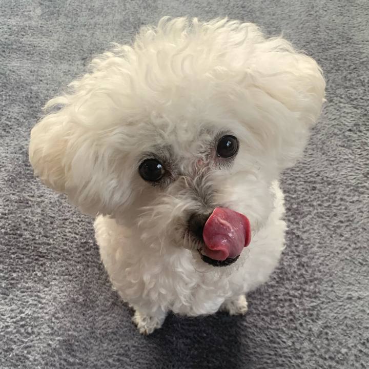 16761c80 5d43 4e55 9bd3 cfcd8e052958 1665547870039