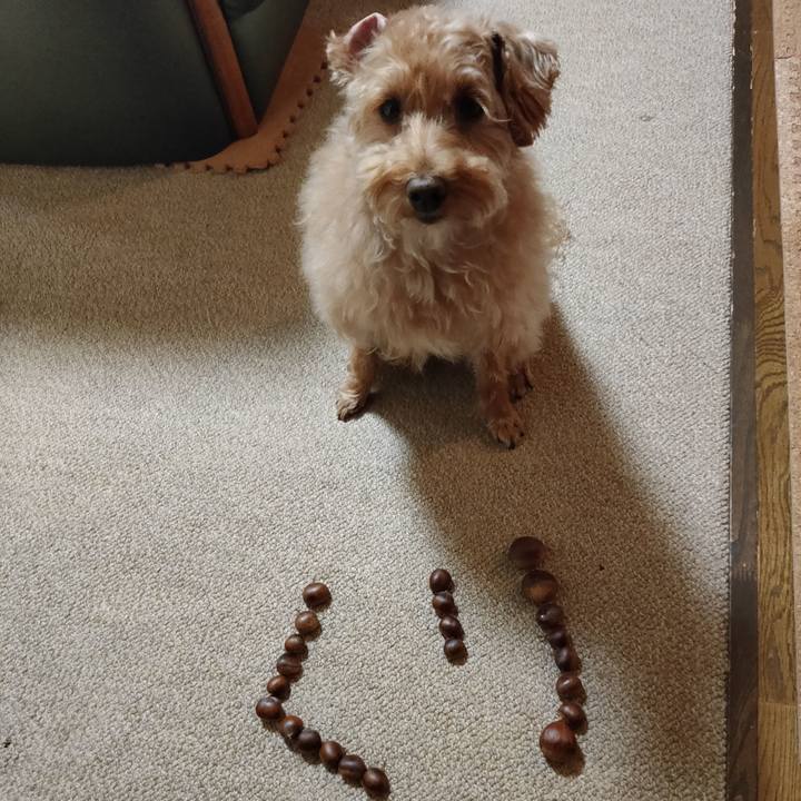 16763a8e 057c 4266 849d 5a4df67264e7 1600596755634